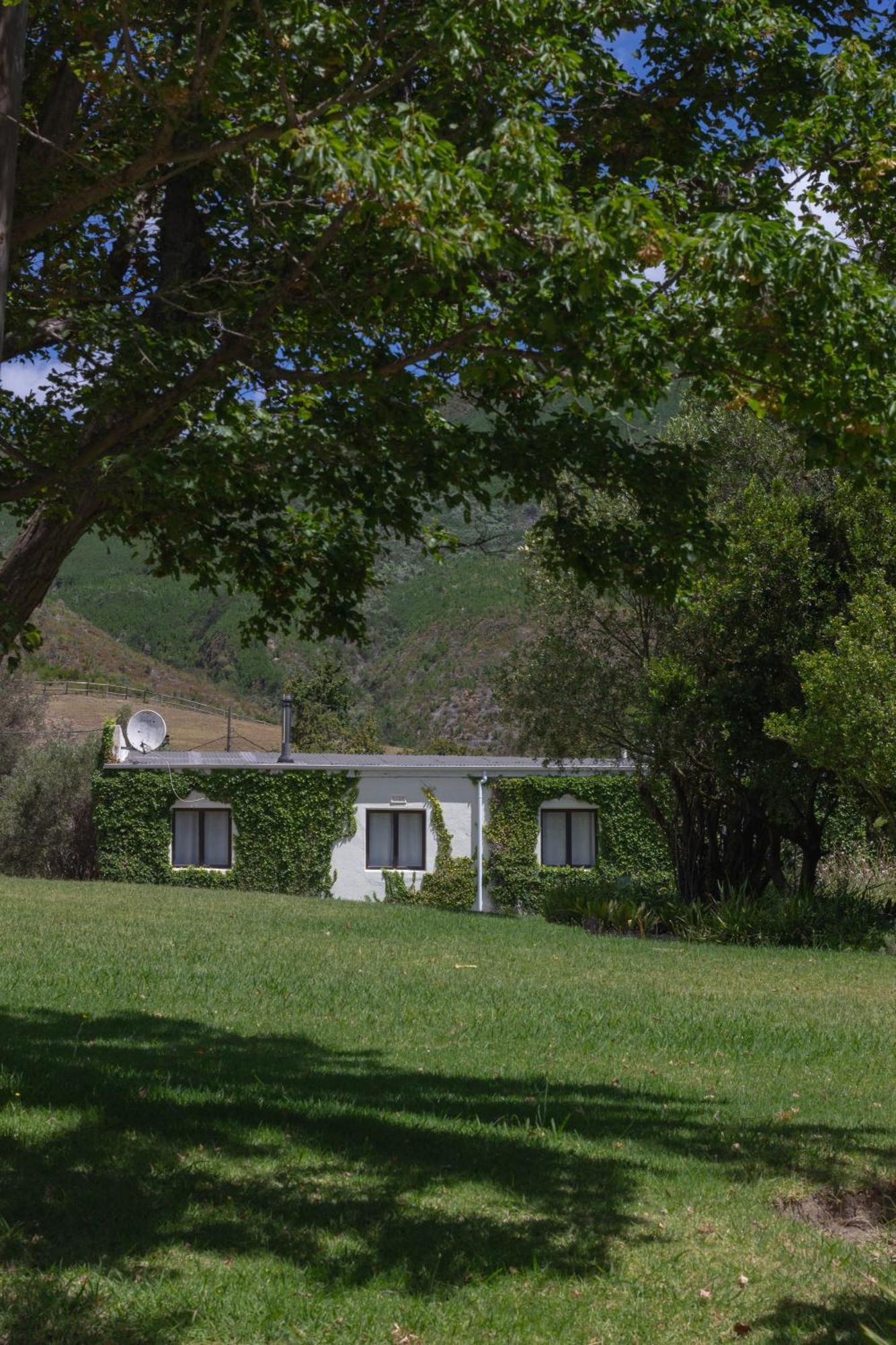 Three Streams Cottage Franschhoek Exteriör bild